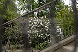 tannenfeld-sommer 2012-056